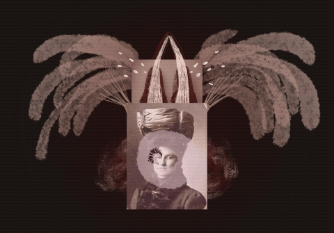 Animación 6 Presiona para ver la animación